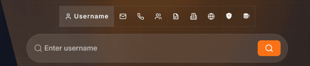 Usersearch.ai interface